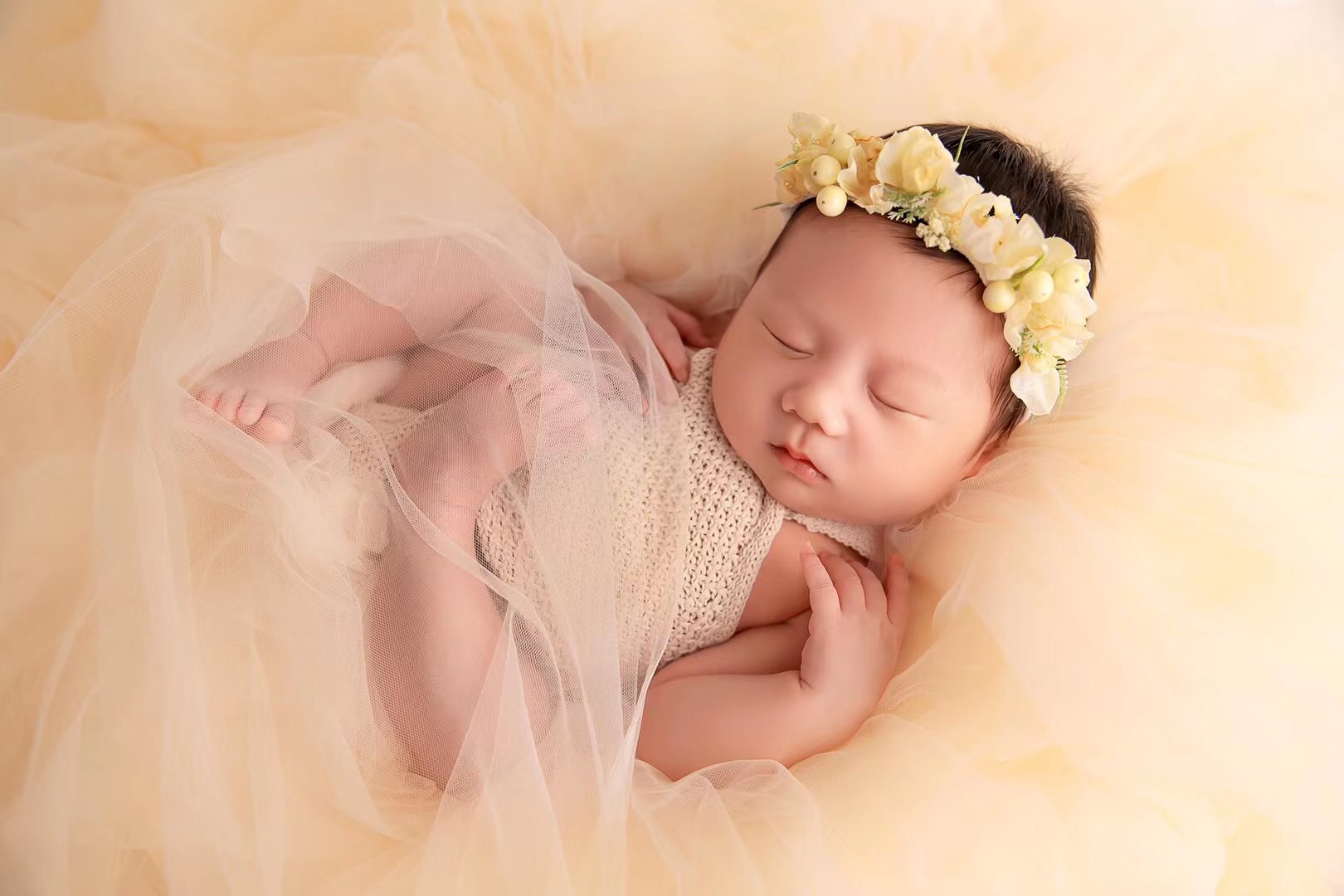 Newborn Photography Props Mesh - Photo Booth Prop ulasan dan harga