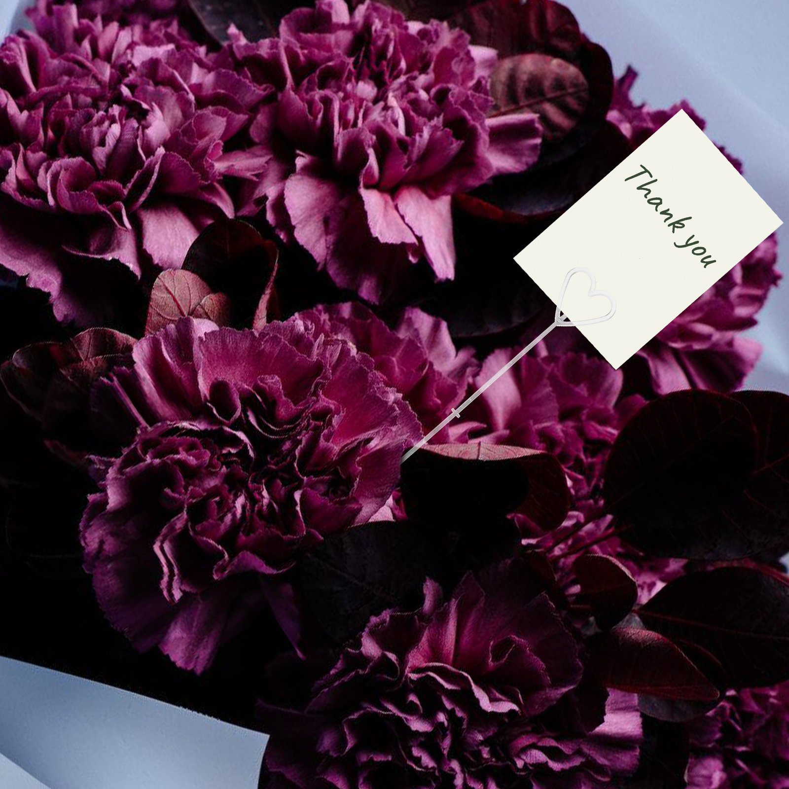 80Pcs Floral Pick Card Holders - Wedding Decoration Supply ulasan dan harga